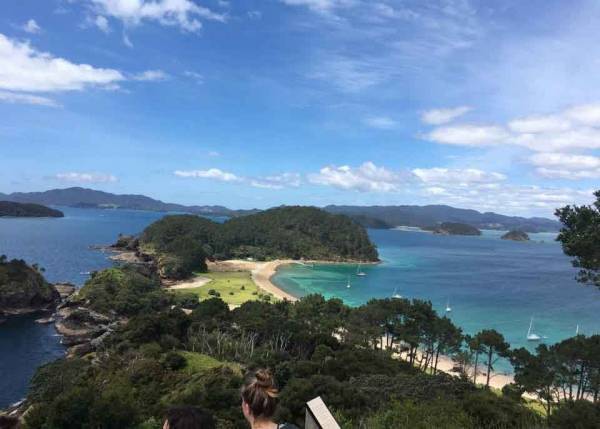 biid（ビード） ニュージーランドのケリケリ高校（Kerikeri High School）とエージェント契約を締結し、青少年育成プログラム事業を開始！