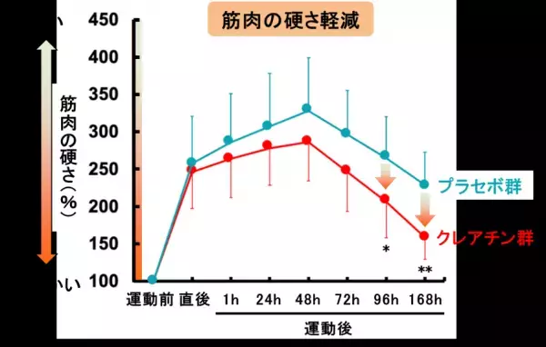運動後の迅速なリカバリーに効果的！ クレアチンが運動後の筋肉の硬さを速やかに軽減することをヒト試験で発見
