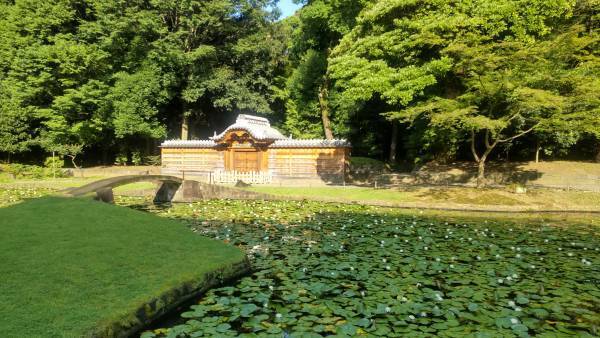 小石川後楽園「夏の特別開園」朝8時から開園します！