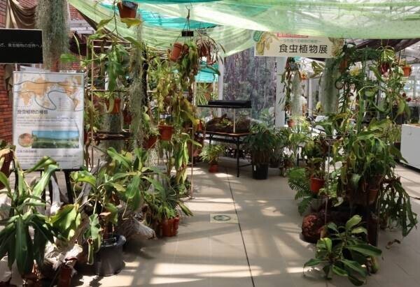 神代植物公園 夏休み特別企画「食虫植物展」8月1日より開催！
