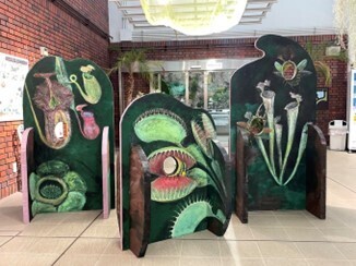 神代植物公園 夏休み特別企画「食虫植物展」8月1日より開催！