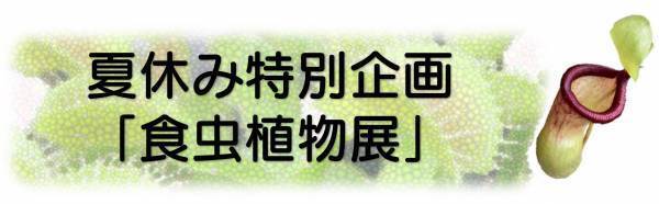 神代植物公園 夏休み特別企画「食虫植物展」8月1日より開催！