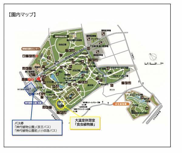 神代植物公園 夏休み特別企画「食虫植物展」8月1日より開催！