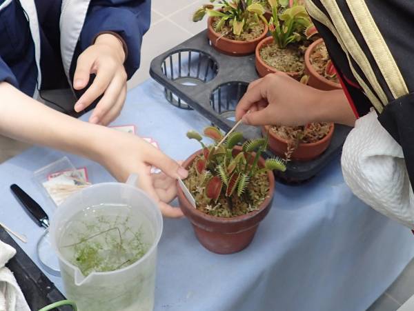 神代植物公園 夏休み特別企画「食虫植物展」8月1日より開催！