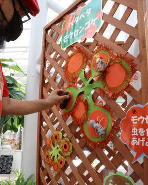 神代植物公園 夏休み特別企画「食虫植物展」8月1日より開催！