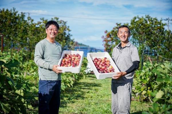 畑の中にある農家レストラン「陽・燦燦」甘熟にこだわったいちじくメニュー 『甘熟いちじくまるごとティー』9月8日より販売開始
