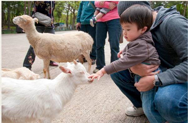 【大江戸温泉物語】食事も、温泉も、観光も！会津若松市の２つの宿で『夏のまんぞくバイキング』が6月1日～スタート！