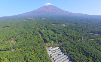 Fattoria(ファットリア) ららぽーと沼津 7月1日～30日にて出店。地元素材にこだわったスイーツがズラリと並ぶ「夏限定！新フルーツ生ゼリー」も必見！！
