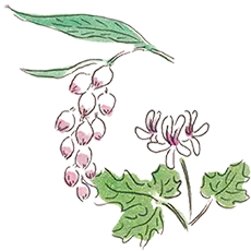 牛乳屋さんが作るハンドクリーム「Chi-Chiミルクハンドクリーム」が1月21日にリニューアル販売開始