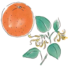 牛乳屋さんが作るハンドクリーム「Chi-Chiミルクハンドクリーム」が1月21日にリニューアル販売開始