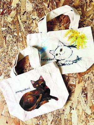 猫好き集まれ、猫フェスが守口に初登場 「MORIGUCHI 猫フェス2023」を開催します