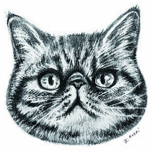 猫好き集まれ、猫フェスが守口に初登場 「MORIGUCHI 猫フェス2023」を開催します