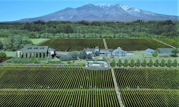 【リゾナーレ八ヶ岳】葡萄畑やワインの熟成室を見学する「醸造 Academy ～夏休みの自由研究～」開催 ～ワインの成分を分析するサンプリング体験も実施～｜実施日：2023年8月1日～31日の毎週火曜日から1泊2日