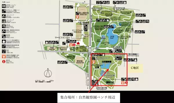 【定員に達したため受付終了いたしました】【舎人公園】夏休み宿題お助け企画！昆虫かんさつ会