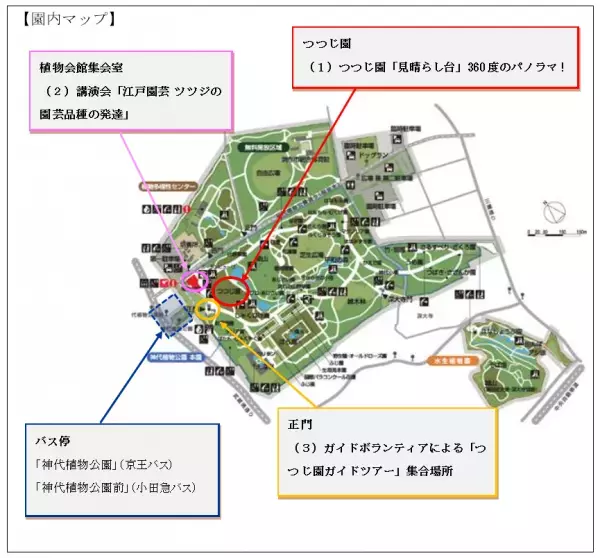 神代植物公園「つつじウィーク」のお知らせ　令和5年４月11日（火）～５月7日（日）