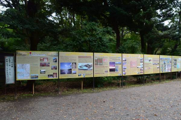 【10/21～開催】秋の六義園　～六義園で日本文化に親しむ～