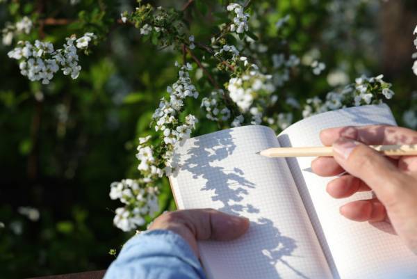 植物学者 牧野富太郎博士をイメージした植物観察アイテムを発売
