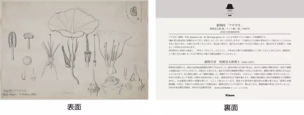 植物学者 牧野富太郎博士をイメージした植物観察アイテムを発売