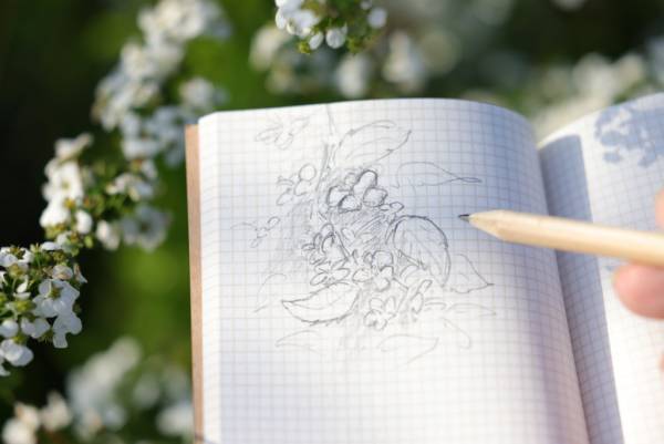 植物学者 牧野富太郎博士をイメージした植物観察アイテムを発売