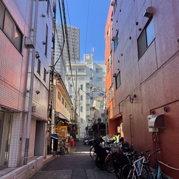 三鷹【トリプル焼豚・ダブル雲吞】濃厚淡麗醤油ラーメン「べぃしっく」 が凱旋オープン