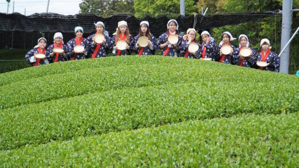 大阪国際大学・大阪国際大学短期大学部の学生が、高級ブランド宇治茶で有名な南山城村中窪製茶園で、今年の茶品評会に出品する新茶の手摘みを行いました。