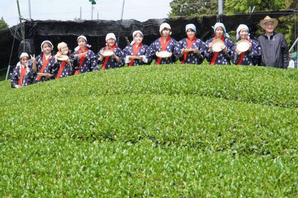大阪国際大学・大阪国際大学短期大学部の学生が、高級ブランド宇治茶で有名な南山城村中窪製茶園で、今年の茶品評会に出品する新茶の手摘みを行いました。