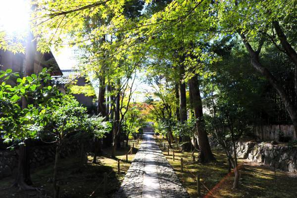 秋の嵐電沿線ご案内　　鹿王院 「舎利殿」 修復落慶