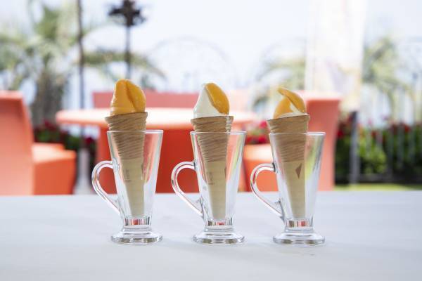 淡路島西海岸「オーシャンテラス」「ミエレ・ザ・ガーデン」 『びわフェア』を開催 淡路島産のびわを使用した新作メニューを6月6日より提供