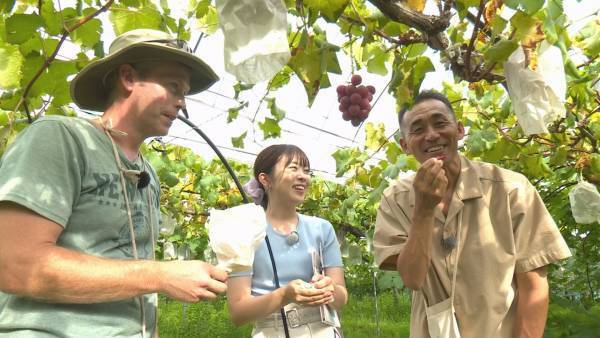 【広島ホームテレビ】年末年始は特別番組が勢ぞろい！