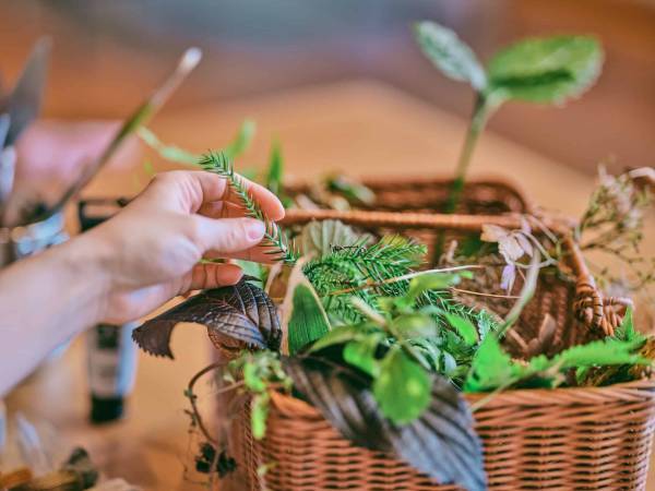 【界 仙石原】「仙石原の自然をテーマにしたアート制作体験」開催 ～職人、生産者と行うご当地文化体験「手業のひととき」3 年目に突入～ 期間：2023年4月11日～6月29日、9月5日～11月30日