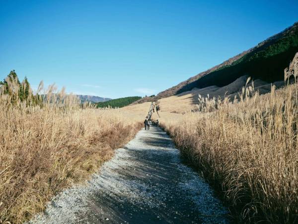 【界 仙石原】「仙石原の自然をテーマにしたアート制作体験」開催 ～職人、生産者と行うご当地文化体験「手業のひととき」3 年目に突入～ 期間：2023年4月11日～6月29日、9月5日～11月30日