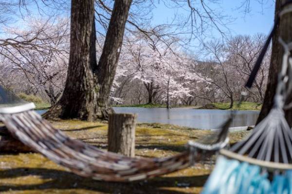 春のギフトはお決まりですか？節目のお祝い&ホテルセレクトの春ギフト2023【宮城・温泉リゾート一の坊】