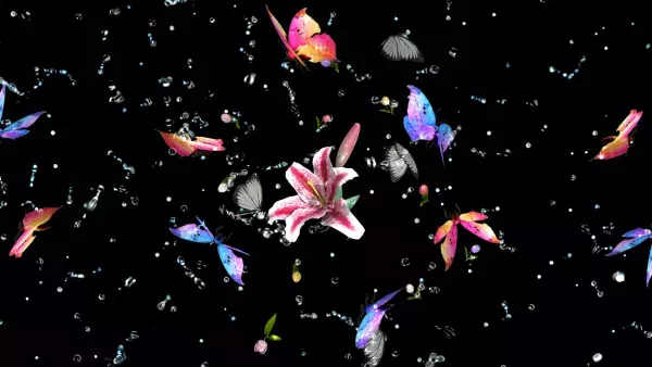 HOME企画制作 　デジタルアートで ”癒しの空間” を演出