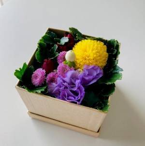 ”終活のいろは“ を学ぶ  「お寺で安心　はじめての終活・樹木葬セミナー」開催