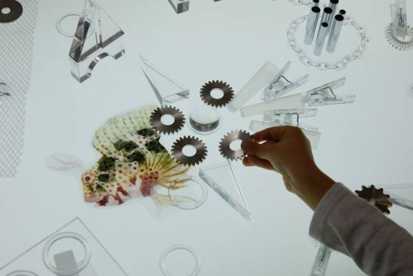 【リゾナーレ大阪】泡、波、光の現象や貝、サンゴなどの素材から海の世界の楽しさを創造する「海とつながるアトリエ」誕生｜期間：2023年6月1日〜9月30日