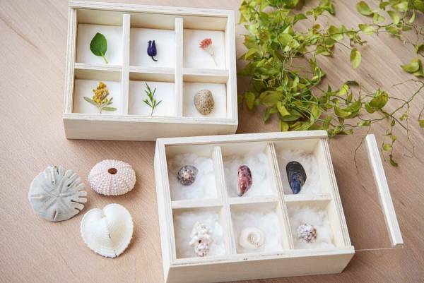 【リゾナーレ大阪】泡、波、光の現象や貝、サンゴなどの素材から海の世界の楽しさを創造する「海とつながるアトリエ」誕生｜期間：2023年6月1日〜9月30日