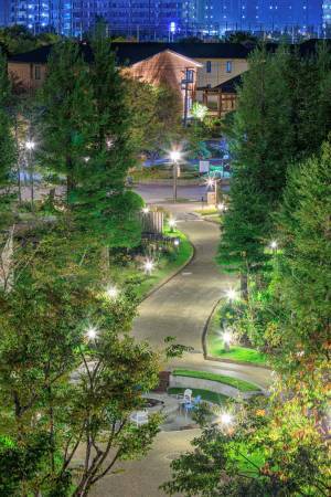 【ロッジ舞洲】冬の星空観賞とミニキャンプ体験、書初めや振る舞い酒など多彩な企画をご用意！大阪ベイエリアの「ホテル・ロッジ舞洲」が宿泊者向けに魅力的な冬の過ごし方を提供！