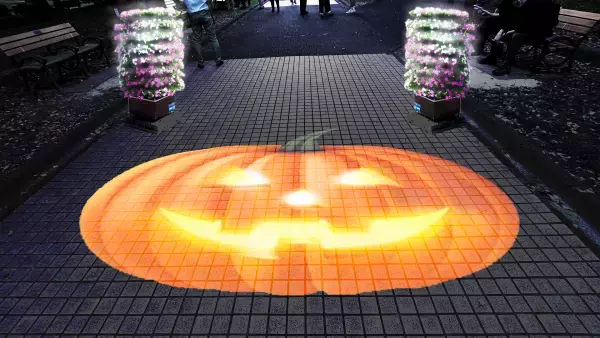 【花と光のムーブメント】＜府中の森公園：10/6~11/5＞＜芝公園：10/19～11/19＞府中の森公園・芝公園で、特設花壇のライトアップイベントを開催！