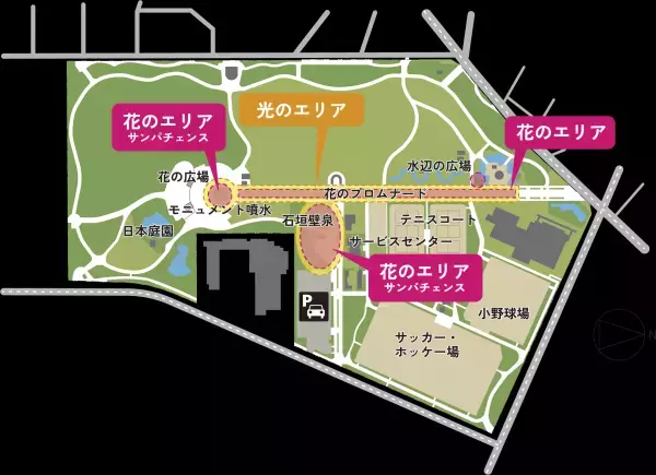 【花と光のムーブメント】＜府中の森公園：10/6~11/5＞＜芝公園：10/19～11/19＞府中の森公園・芝公園で、特設花壇のライトアップイベントを開催！