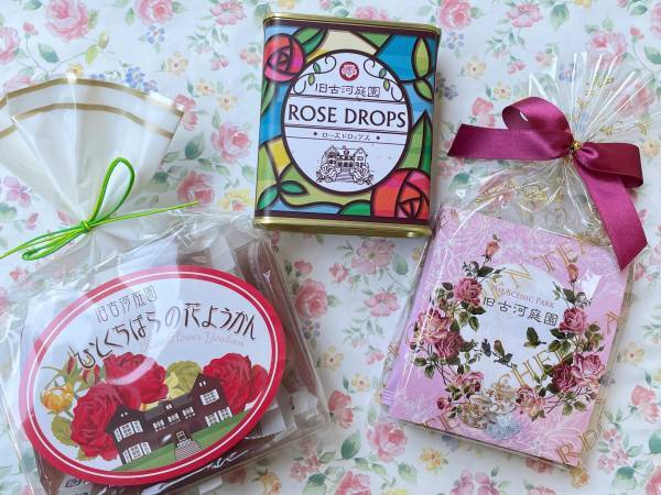 旧古河庭園「春のバラフェスティバル」5月9日最新開花情報！