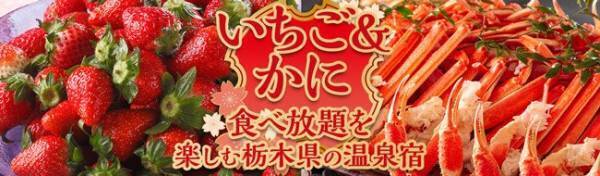 【温泉宿・ホテル総選挙２０２２ ビュッフェ部門】関東エリア第３位の宿、大江戸温泉物語 塩原温泉 ホテルニュー塩原（栃木県那須塩原市）でいちご＆かに食べ放題を楽しむグルメバイキングがスタート