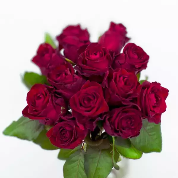 11/22【いい夫婦の日】花の演出でいい夫婦の日を盛り上げよう！