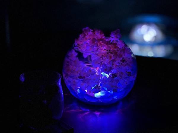 【界 箱根】～あじさいの花水盤に癒される夜のおこもり時間が登場～梅雨を彩る風物詩「あじさい尽くし滞在」提供｜期間：2023年6月10日～7月2日