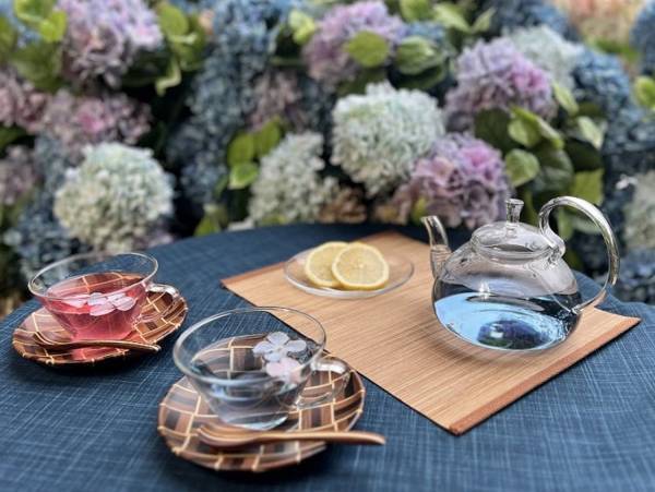 【界 箱根】～あじさいの花水盤に癒される夜のおこもり時間が登場～梅雨を彩る風物詩「あじさい尽くし滞在」提供｜期間：2023年6月10日～7月2日