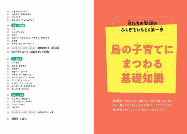みんなちがって、みんなスゴい！ 『鳥の親子&子育て図鑑』が11月2日発売