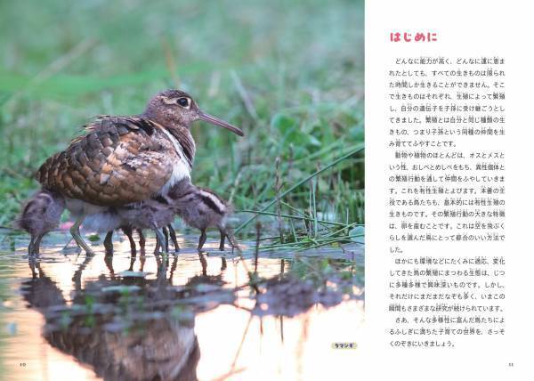 みんなちがって、みんなスゴい！ 『鳥の親子&子育て図鑑』が11月2日発売