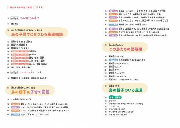 みんなちがって、みんなスゴい！ 『鳥の親子&子育て図鑑』が11月2日発売