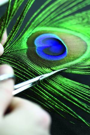 コルムが『フェザーウォッチ』を6月9日に発売