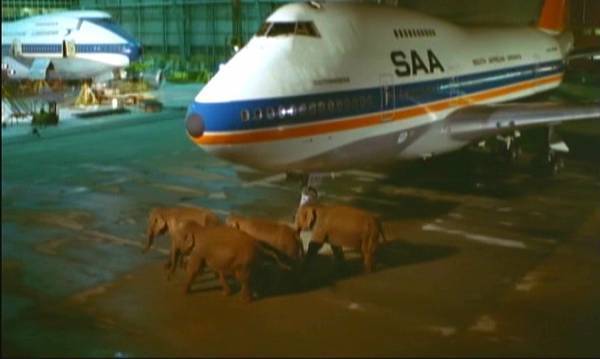 1,000頭の猛獣が大都会で殺戮と破壊の限りを尽くす！ 映画「猛獣大脱走」 4月26日（水）夕方6時～BS12 トゥエルビで放送