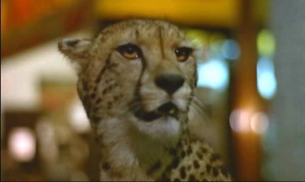 1,000頭の猛獣が大都会で殺戮と破壊の限りを尽くす！ 映画「猛獣大脱走」 4月26日（水）夕方6時～BS12 トゥエルビで放送